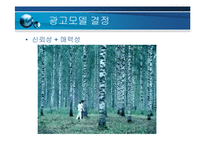 광고물 전략과 성공적인 메시지-12