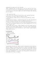 [한국정부론] 참여정부 평가-11