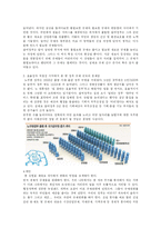 [한국정부론] 참여정부 평가-13