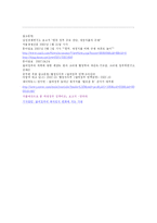 [한국정부론] 참여정부 평가-16