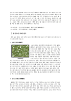 중국의 차문화 레포트-14