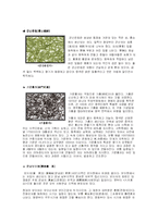중국의 차문화 레포트-17