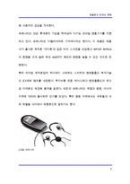 [[마케팅전략]] 휴대폰-명품폰의 전략과 동향-8