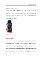 [[마케팅전략]] 휴대폰-명품폰의 전략과 동향-15