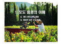 [교양 경상] 와인특강-2