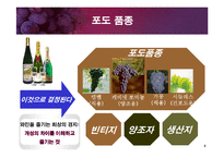 [교양 경상] 와인특강-4