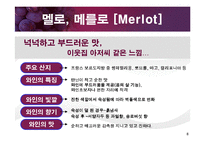 [교양 경상] 와인특강-8
