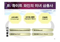[교양 경상] 와인특강-11