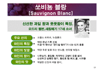 [교양 경상] 와인특강-13