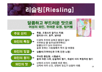[교양 경상] 와인특강-14