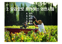 [교양 경상] 와인특강-15