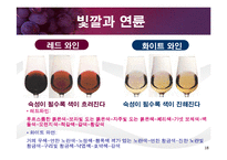[교양 경상] 와인특강-18