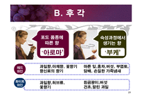[교양 경상] 와인특강-19
