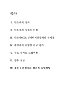 [탄소세] 탄소세의 해석-2
