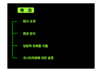 [쏘나타, 현대차, 후원, FIFA, 중형차, 축구대회] 쏘나타 마케팅기법-2