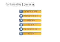 [Water, Park, Bay, Caribbean, 워터파크, 캐리비안] 캐러비안 베이 마케팅전략-2