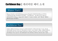 [Water, Park, Bay, Caribbean, 워터파크, 캐리비안] 캐러비안 베이 마케팅전략-4
