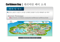 [Water, Park, Bay, Caribbean, 워터파크, 캐리비안] 캐러비안 베이 마케팅전략-5