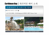 [Water, Park, Bay, Caribbean, 워터파크, 캐리비안] 캐러비안 베이 마케팅전략-7