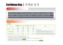 [Water, Park, Bay, Caribbean, 워터파크, 캐리비안] 캐러비안 베이 마케팅전략-10