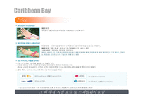 [Water, Park, Bay, Caribbean, 워터파크, 캐리비안] 캐러비안 베이 마케팅전략-11
