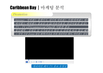 [Water, Park, Bay, Caribbean, 워터파크, 캐리비안] 캐러비안 베이 마케팅전략-12