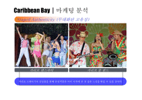 [Water, Park, Bay, Caribbean, 워터파크, 캐리비안] 캐러비안 베이 마케팅전략-19