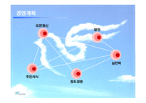 [섬유유연제, 피죤, SWOT, 마케팅, 시장, 생활용품] 피죤의 광고 마케팅 전략-5