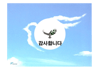 [섬유유연제, 피죤, SWOT, 마케팅, 시장, 생활용품] 피죤의 광고 마케팅 전략-20