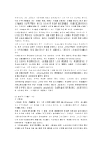 [경영전략] 노키아의 국내시장진출전략과 실패요인-19