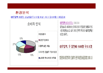 [경영전략] 대우일렉트로닉스의 새로운 전략제안-10