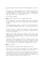 [정보통신] IT 839 정책-9