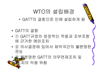 [기타] WTO 레포트-3