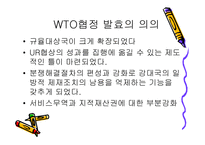 [기타] WTO 레포트-6