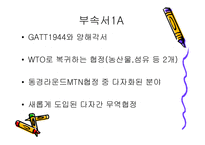 [기타] WTO 레포트-9