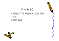 [기타] WTO 레포트-11
