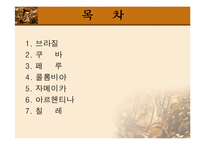 [보건행정] 남미의료제도-2