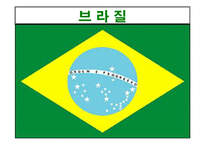 [보건행정] 남미의료제도-3