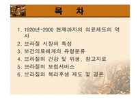 [보건행정] 남미의료제도-4