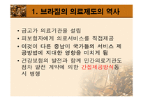 [보건행정] 남미의료제도-7