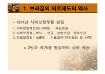 [보건행정] 남미의료제도-10