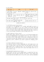 [경영전략] 다국적기업 로레알의 국제경영과 한국시장진출사례-2