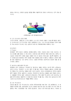 [경영전략] 다국적기업 로레알의 국제경영과 한국시장진출사례-17