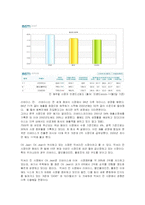 [경영전략] 리바이스의 국내진출 현지화전략-5