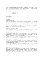 [경영전략] 리바이스의 국내진출 현지화전략-7