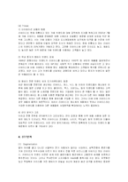 [경영전략] 리바이스의 국내진출 현지화전략-9