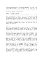 [경영전략] 저가화장품 미샤의 중국진출 마케팅전략-3