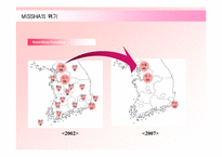 [경영전략] 저가화장품 미샤(MISSHA)의 위기극복방안-17