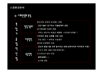 [경영전략] 로만손의 글로벌경영전략과 성공요인-9