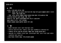[경영전략] 로만손의 글로벌경영전략과 성공요인-15